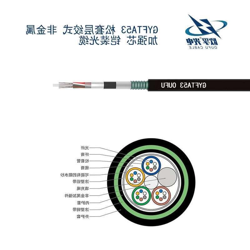 焦作市GYFTA53光缆